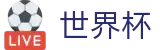 2026世界杯(FIFA World Cup)官方中文入口